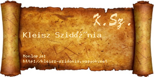 Kleisz Szidónia névjegykártya